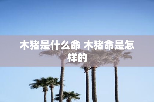 木猪是什么命 木猪命是怎样的