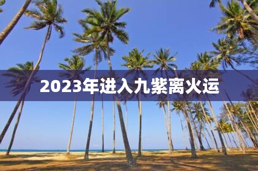 2025年进入九紫离火运