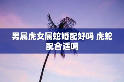 男属虎女属蛇婚配好吗 虎蛇配合适吗