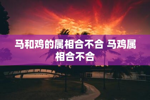 马和鸡的属相合不合 马鸡属相合不合