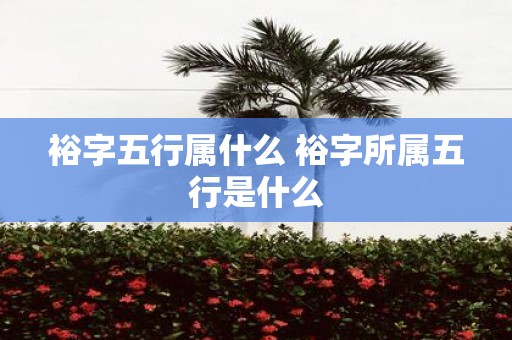 裕字五行属什么 裕字所属五行是什么