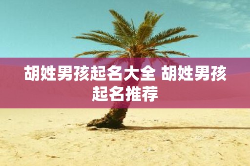 胡姓男孩起名大全 胡姓男孩起名推荐