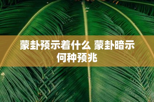 蒙卦预示着什么 蒙卦暗示何种预兆