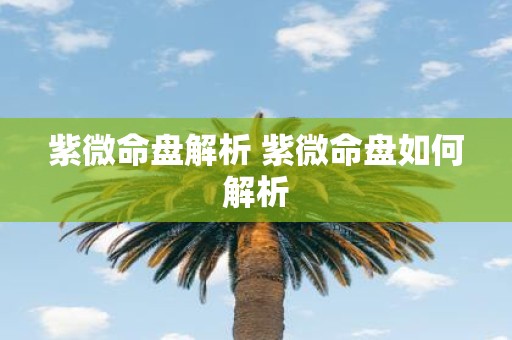 紫微命盘解析 紫微命盘如何解析