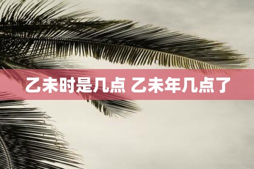 乙未时是几点 乙未年几点了