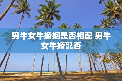 男牛女牛婚姻是否相配 男牛女牛婚配否