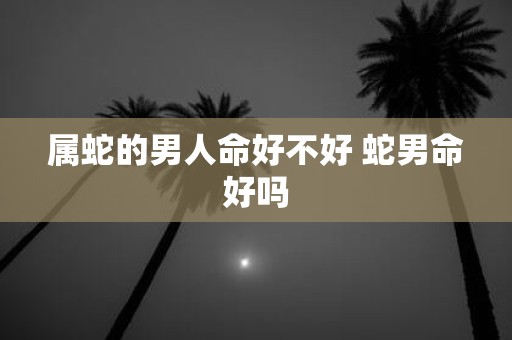 属蛇的男人命好不好 蛇男命好吗