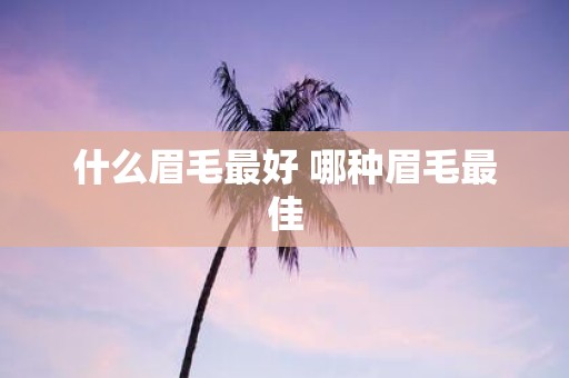 什么眉毛最好 哪种眉毛最佳