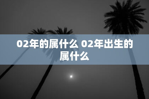 02年的属什么 02年出生的属什么
