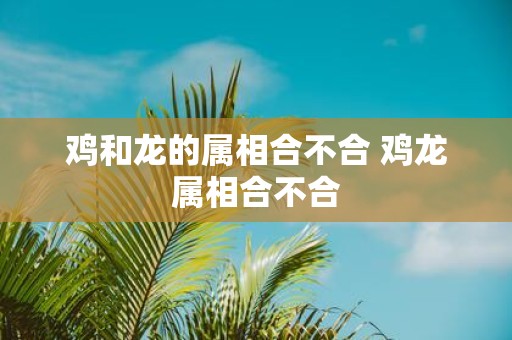 鸡和龙的属相合不合 鸡龙属相合不合