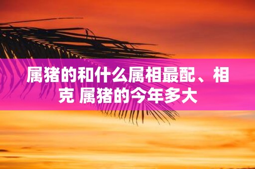 属猪的和什么属相最配、相克 属猪的今年多大