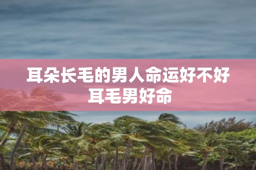 耳朵长毛的男人命运好不好 耳毛男好命