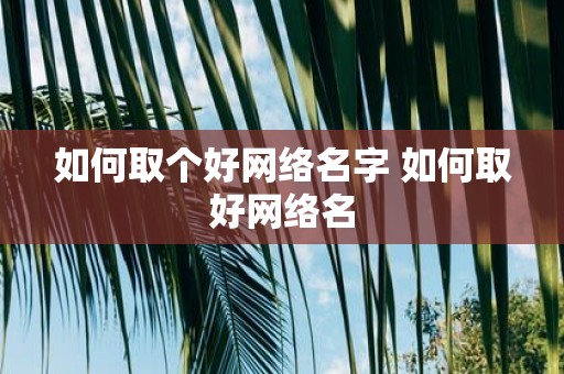 如何取个好网络名字 如何取好网络名
