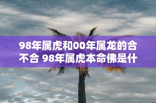 98年属虎和00年属龙的合不合 98年属虎本命佛是什么