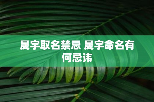 晟字取名禁忌 晟字命名有何忌讳