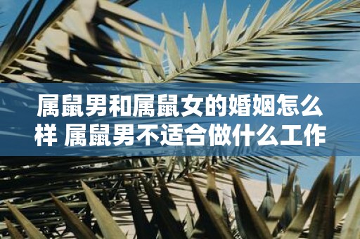 属鼠男和属鼠女的婚姻怎么样 属鼠男不适合做什么工作
