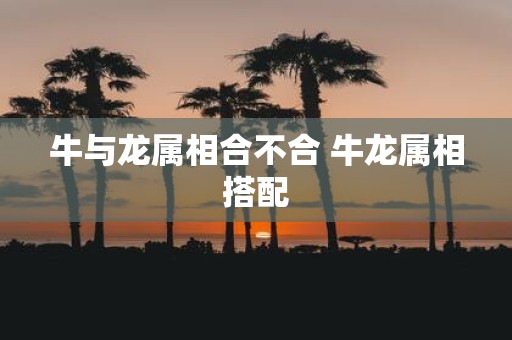 牛与龙属相合不合 牛龙属相搭配
