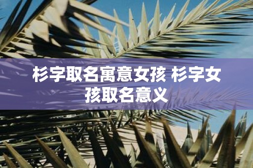 杉字取名寓意女孩 杉字女孩取名意义