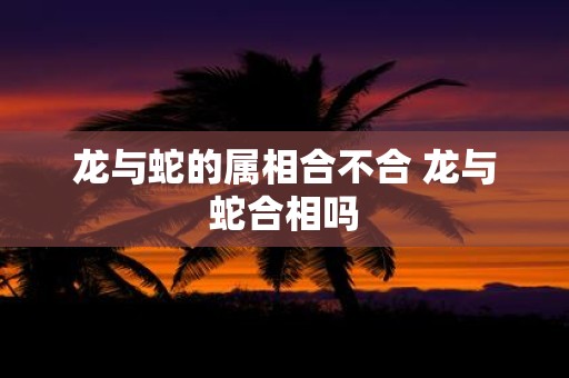 龙与蛇的属相合不合 龙与蛇合相吗