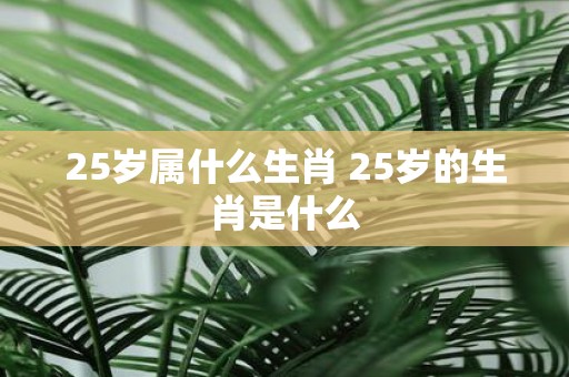 25岁属什么生肖 25岁的生肖是什么