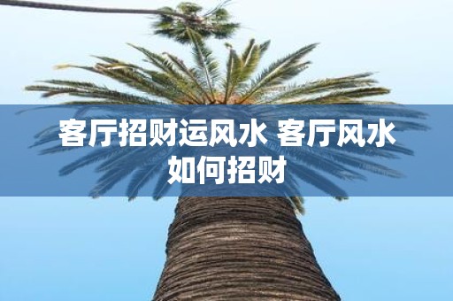 客厅招财运风水 客厅风水如何招财