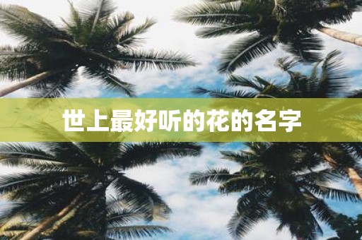 世上最好听的花的名字