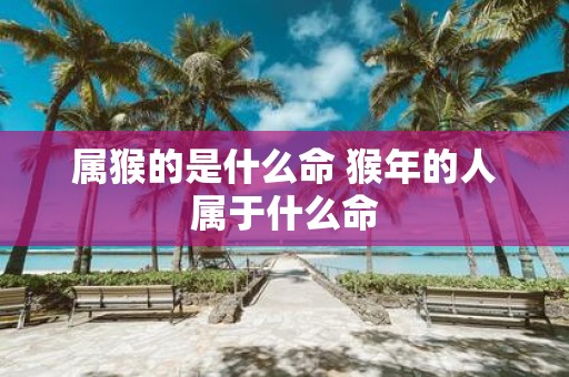 属猴的是什么命 猴年的人属于什么命