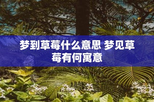 梦到草莓什么意思 梦见草莓有何寓意