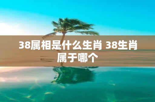 38属相是什么生肖 38生肖属于哪个