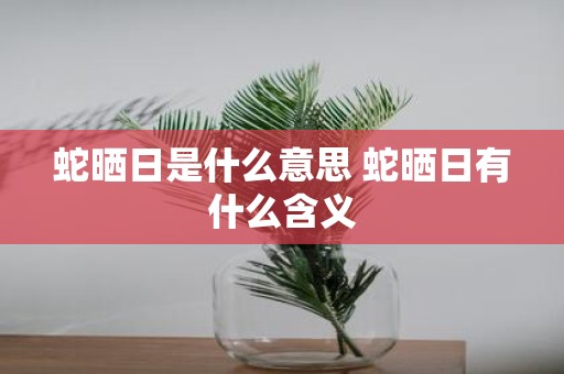 蛇晒日是什么意思 蛇晒日有什么含义