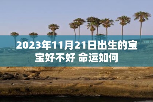 2025年11月21日出生的宝宝好不好 命运如何