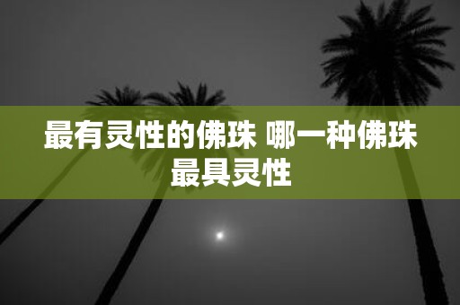 最有灵性的佛珠 哪一种佛珠最具灵性