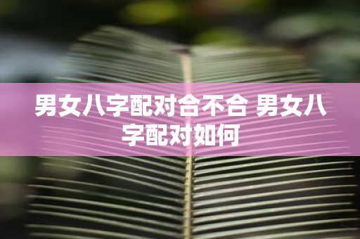男女八字配对合不合 男女八字配对如何