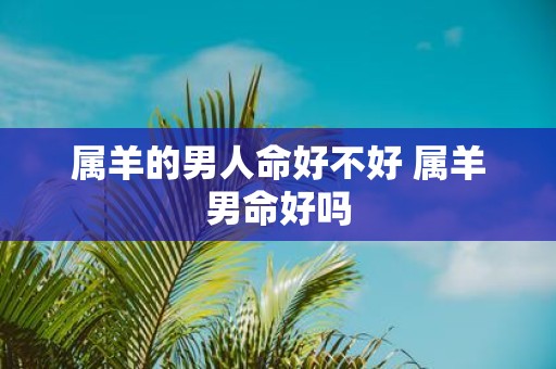 属羊的男人命好不好 属羊男命好吗