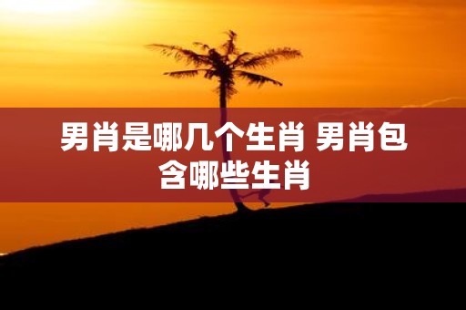 男肖是哪几个生肖 男肖包含哪些生肖