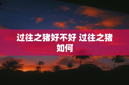 过往之猪好不好 过往之猪如何