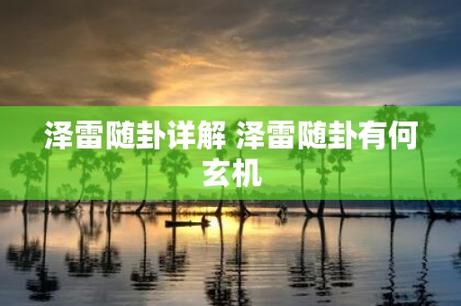 泽雷随卦详解 泽雷随卦有何玄机