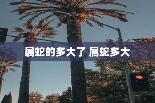 属蛇的多大了 属蛇多大