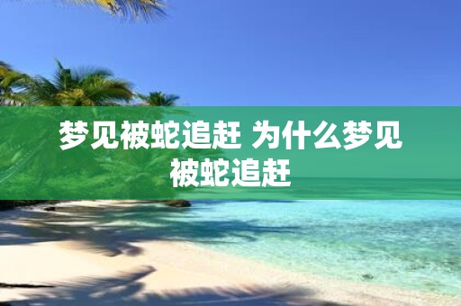 梦见被蛇追赶 为什么梦见被蛇追赶