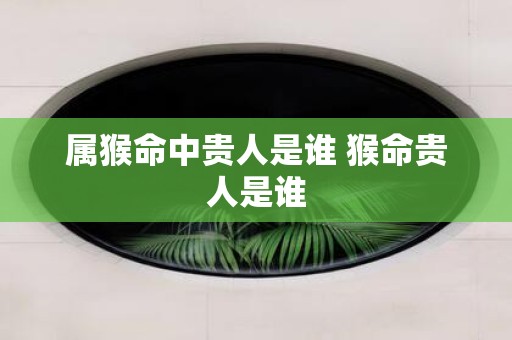 属猴命中贵人是谁 猴命贵人是谁