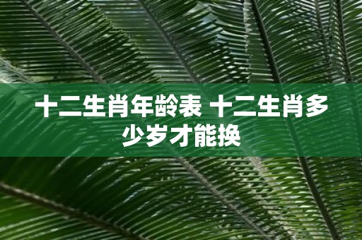 十二生肖年龄表 十二生肖多少岁才能换