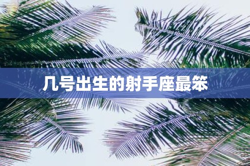 几号出生的射手座最笨