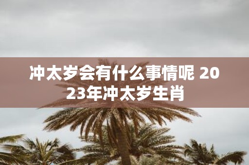 冲太岁会有什么事情呢 2025年冲太岁生肖