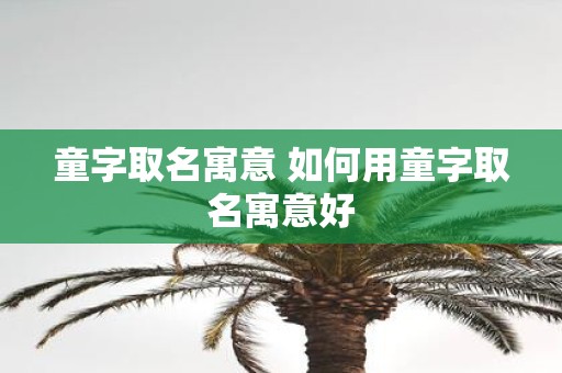 童字取名寓意 如何用童字取名寓意好