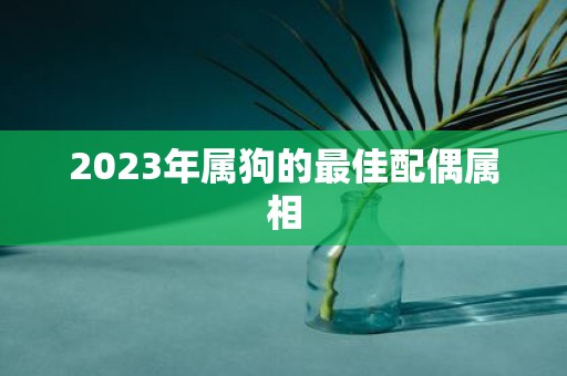 2025年属狗的最佳配偶属相