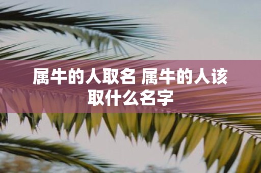 属牛的人取名 属牛的人该取什么名字
