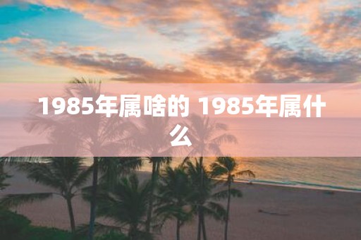 1985年属啥的 1985年属什么