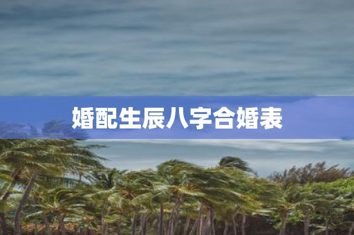 婚配生辰八字合婚表