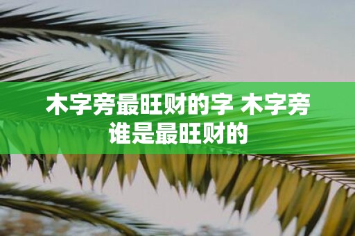 木字旁最旺财的字 木字旁谁是最旺财的
