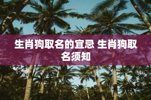 生肖狗取名的宜忌 生肖狗取名须知